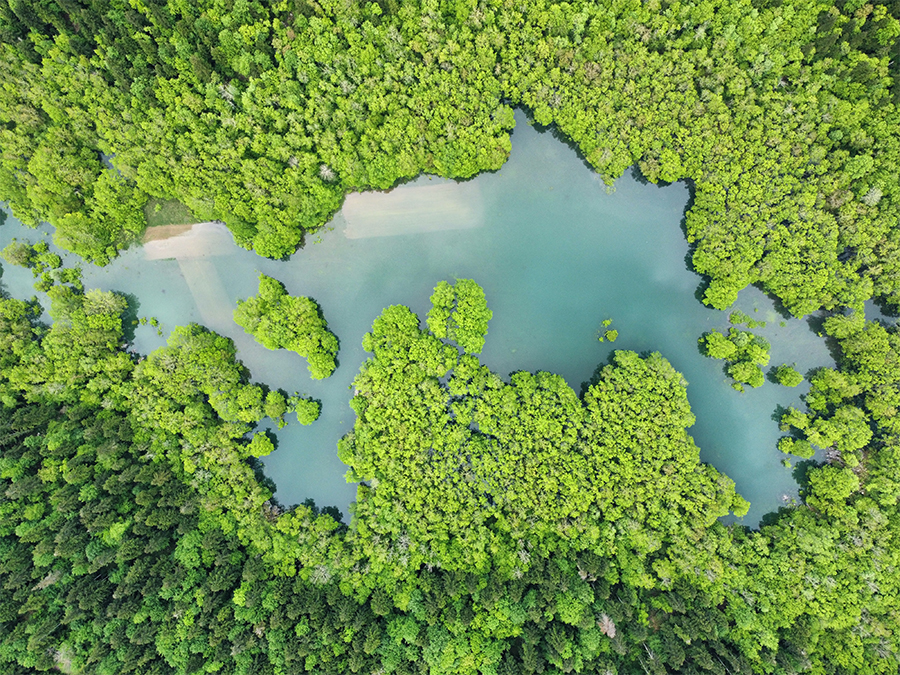 Crno jezero